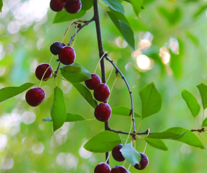 گالری آثار عکاسی حسین مهدی از بحرین