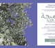 یازدهمین رقابت هنرهای زیبا Ras Al Khaimah ۲۰۲۳