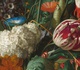 جشن زیبایی گل‌ها در آثارِ "یان داویدز دِی هیم"