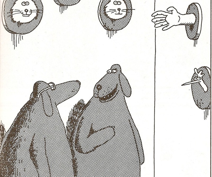 گالری آثار کارتون گری لارسون از آمریکا