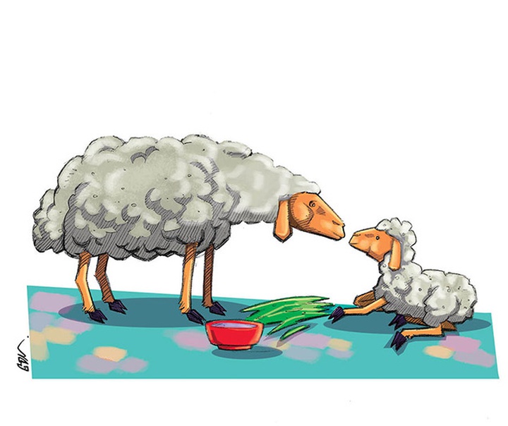 حمیدرضا داودی
