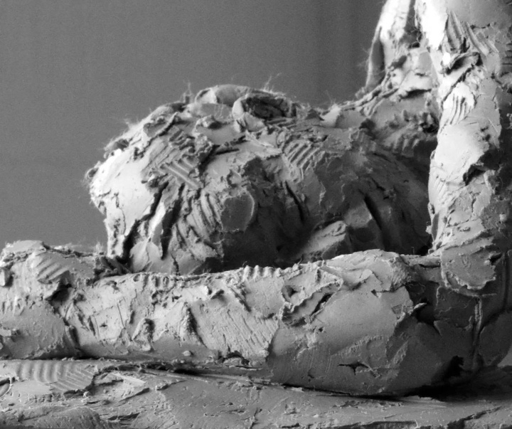 گالری آثار مجسمه و حجم کارول پیس از آمریکا