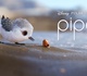بررسی و معرفی فیلم‌ پایپر Piper + فیلم