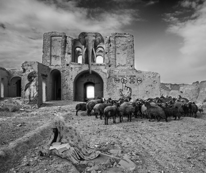 گالری آثار عکاسی آرمین امیریان از ایران