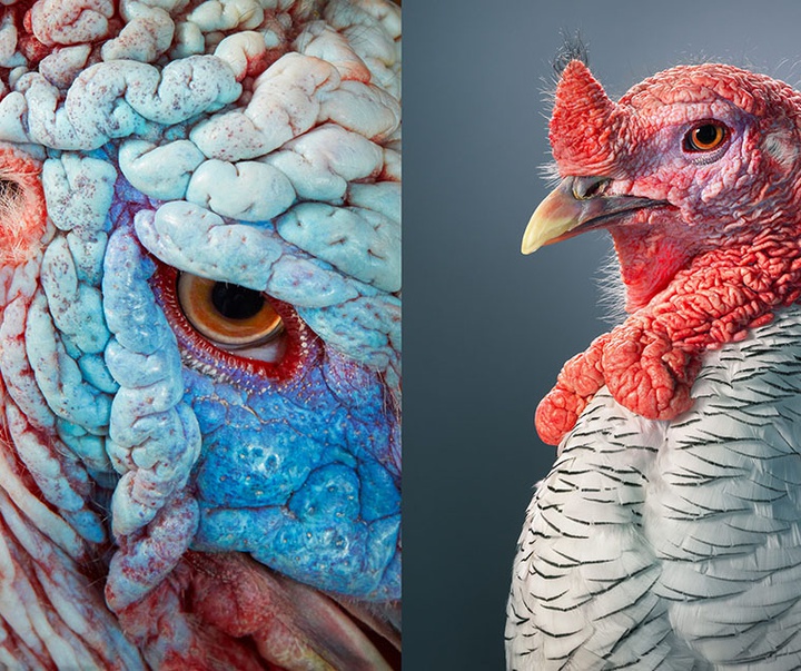 گالری عکس‌های خلاقانه تیم فلچ از بریتانیا