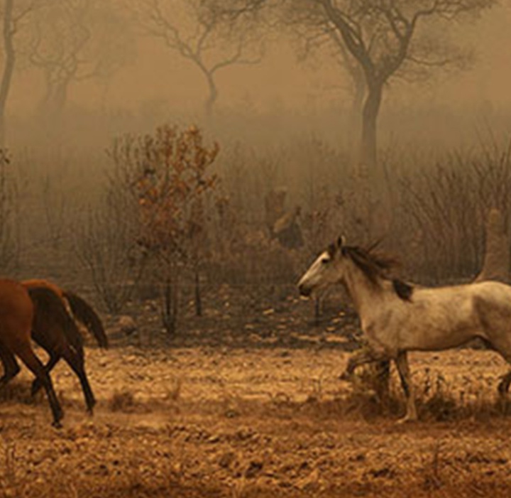 گالری آثار عکاسی لالو د آلمیدا از برزیل - قسمت اول