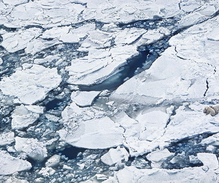 گالری عکس‌های خلاقانه تیم فلچ از بریتانیا