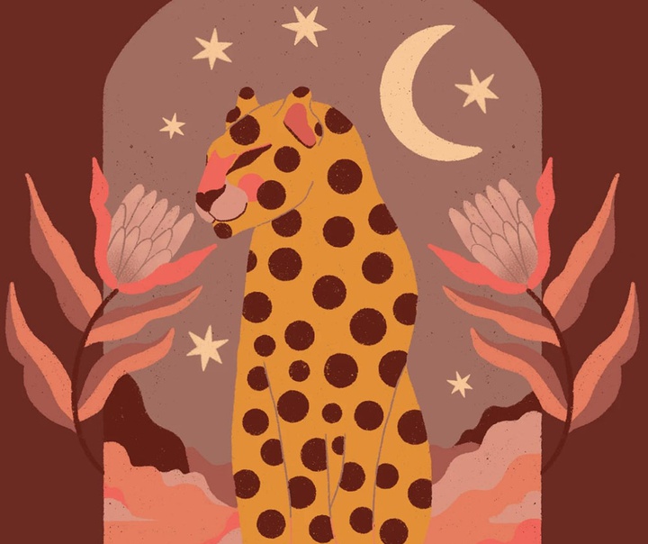 باربارا دانتاس