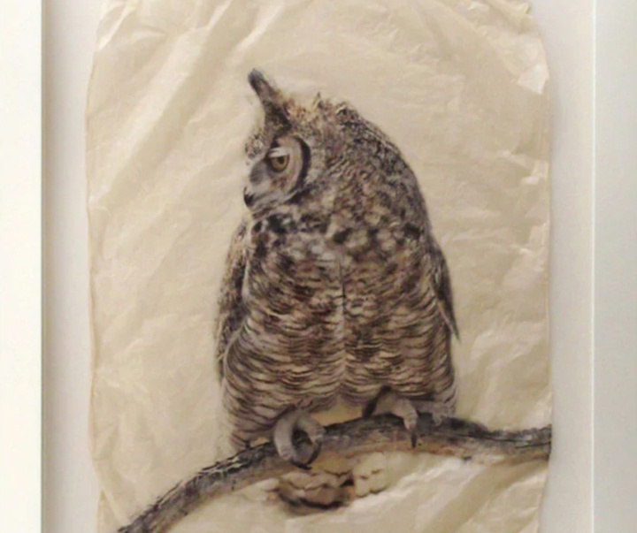 گالری نقاشی‌های پیت زالوزک از آمریکا