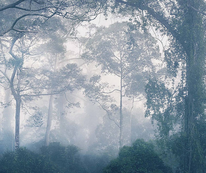 گالری عکس‌های خلاقانه تیم فلچ از بریتانیا