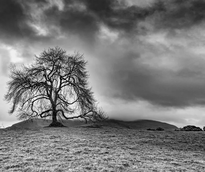 گالری آثار عکاسی جیامپائولو آنتونی از ایتالیا