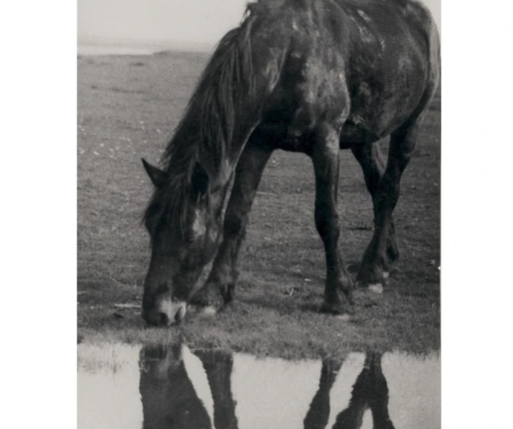 گالری آثار عکاسی آلبرت رنگر-پاتش از آلمان