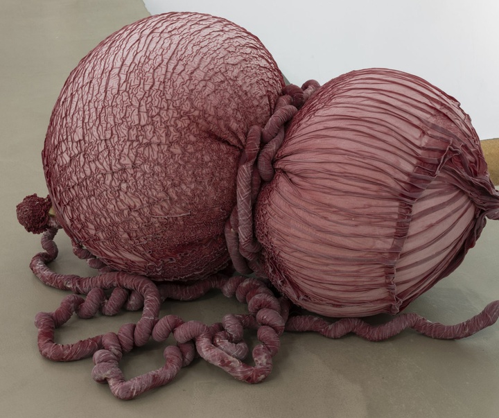 گالری آثر چیدمان و حجم اوا فابرگاس از اسپانیا