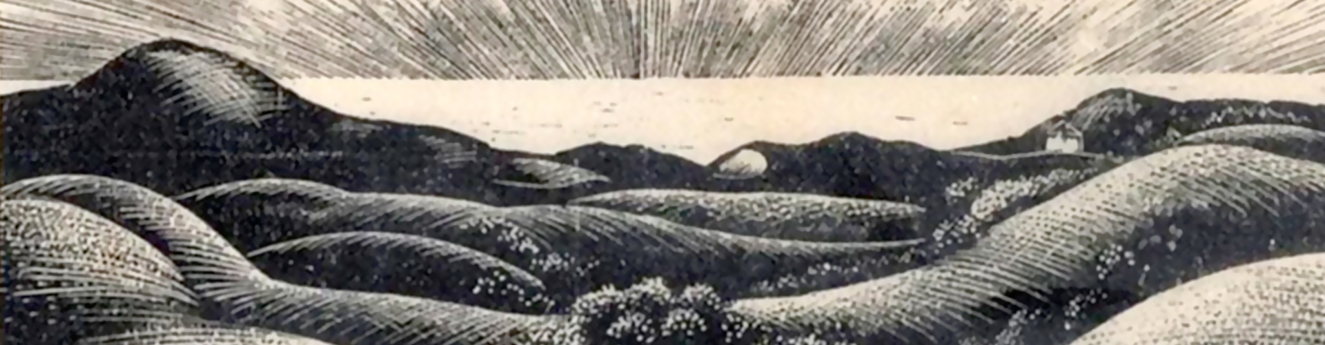 گالری آثار گرافیک کلر لیتون از آمریکا