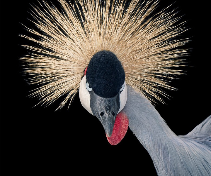 گالری عکس‌های خلاقانه تیم فلچ از بریتانیا