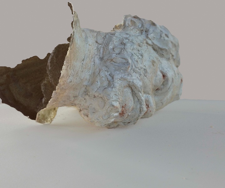 گالری آثار حجم و مجسمه مونتالوان کوئلار آندرس از کوبا