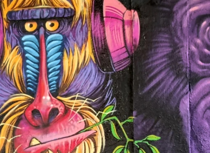 گالری آثار کارتون و کاریکاتور لاتراش یاسین از فرانسه