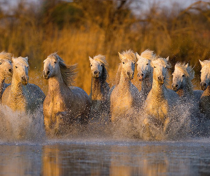 گالری آثار عکاسی جیم زاکرمن از برزیل - قسمت دوم