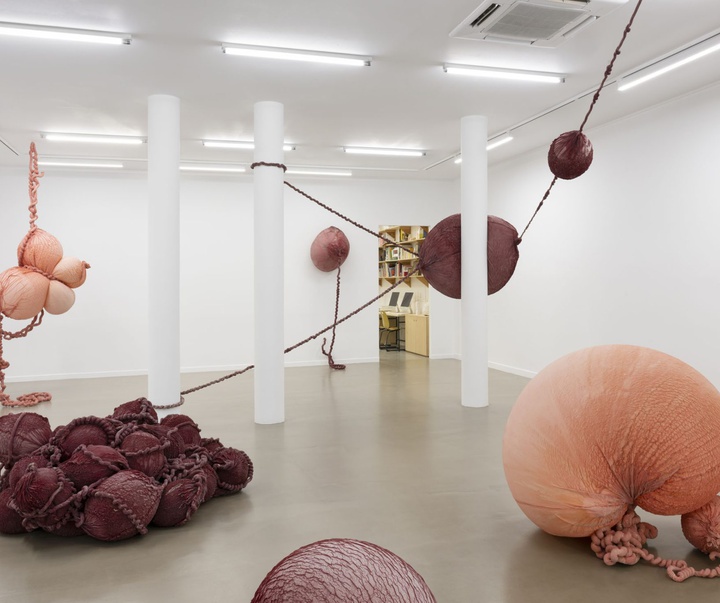 گالری آثر چیدمان و حجم اوا فابرگاس از اسپانیا