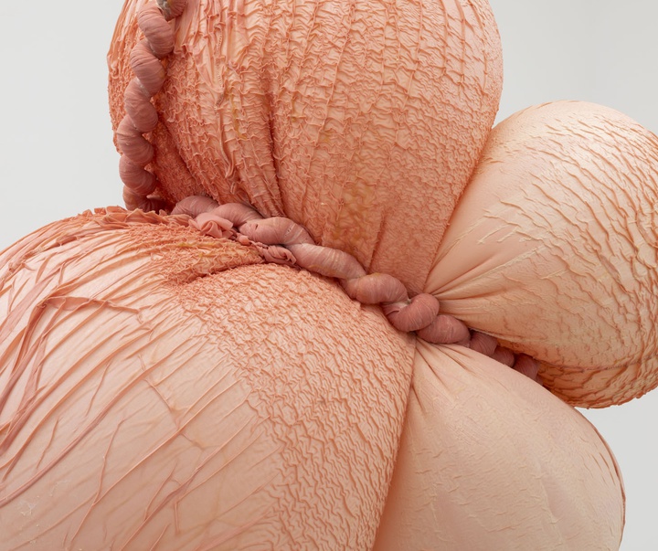 گالری آثر چیدمان و حجم اوا فابرگاس از اسپانیا