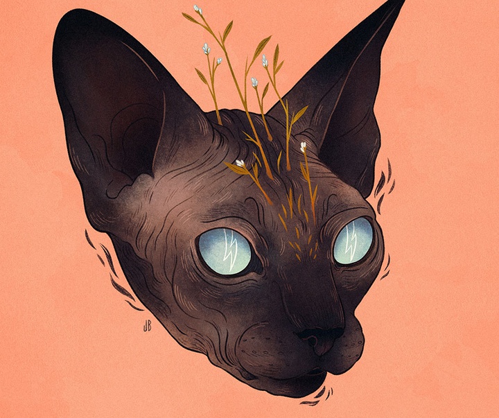 گالری آثار تصویرسازی جنا بارتون از آمریکا