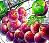گالری طراحی های جیای چن نوم از کره جنوبی
