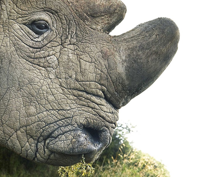 گالری عکس‌های خلاقانه تیم فلچ از بریتانیا