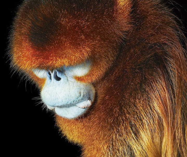 گالری عکس‌های خلاقانه تیم فلچ از بریتانیا