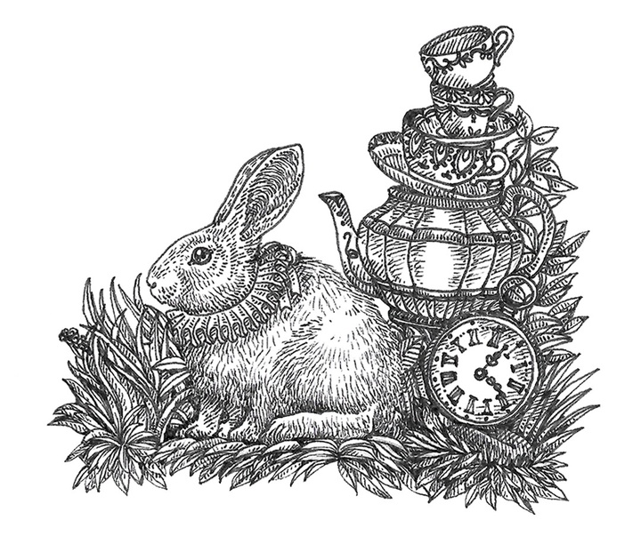 گالری آثار تصویرسازی نیکول بوستامانته از برزیل