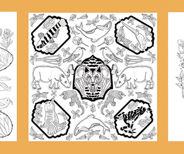 باربارا دانتاس