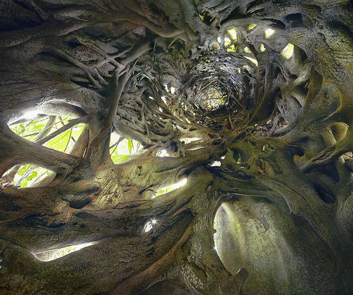 گالری عکس‌های خلاقانه تیم فلچ از بریتانیا