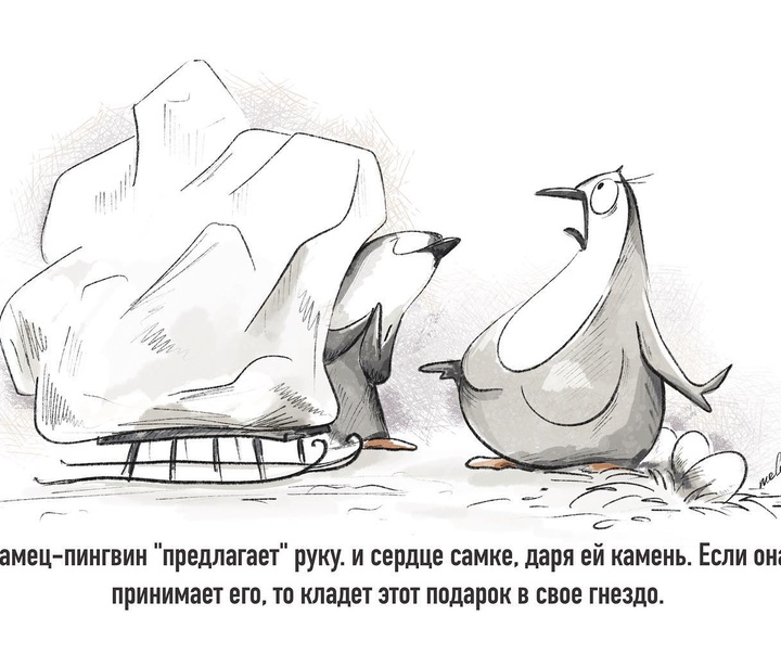 گالری آثار تصویرسازی اولگا میلوخ از روسیه