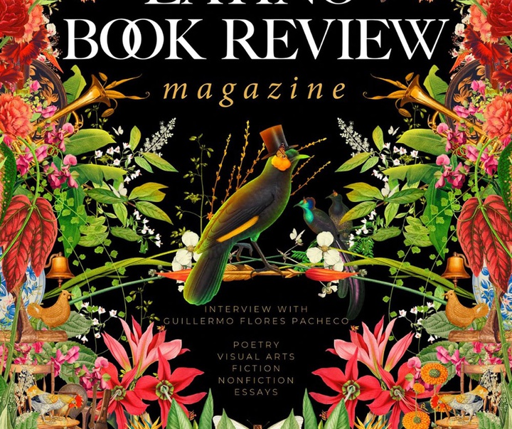 گالری تصویرسازی‌های گیرمو فلورس پاچکو از مکزیک