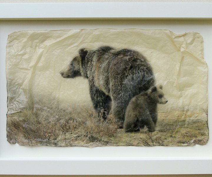 گالری نقاشی‌های پیت زالوزک از آمریکا