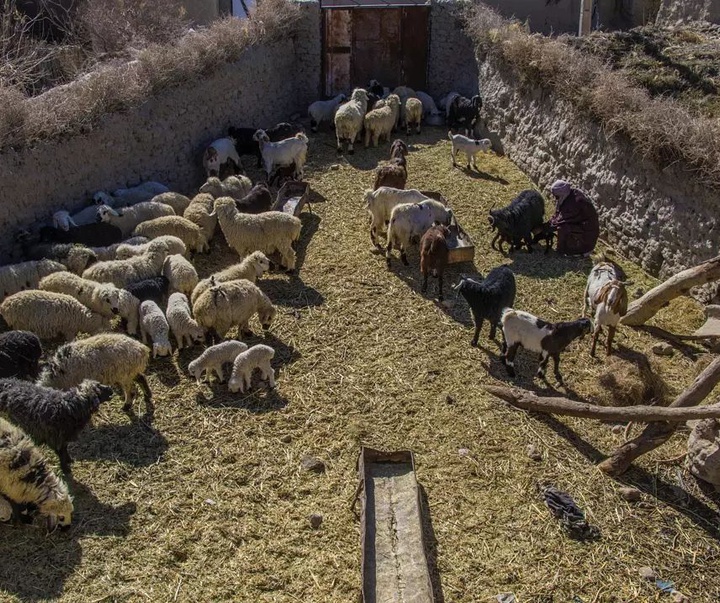 گالری عکس‌های آرزو صادقی از ایران