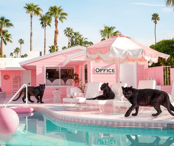 گالری آثار عکاسی پاول فوئنتس از بریتانیا