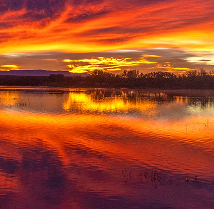 گالری آثار عکاسی جیم زاکرمن از برزیل - قسمت اول