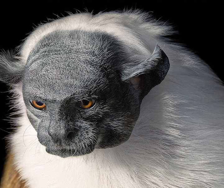 گالری عکس‌های خلاقانه تیم فلچ از بریتانیا