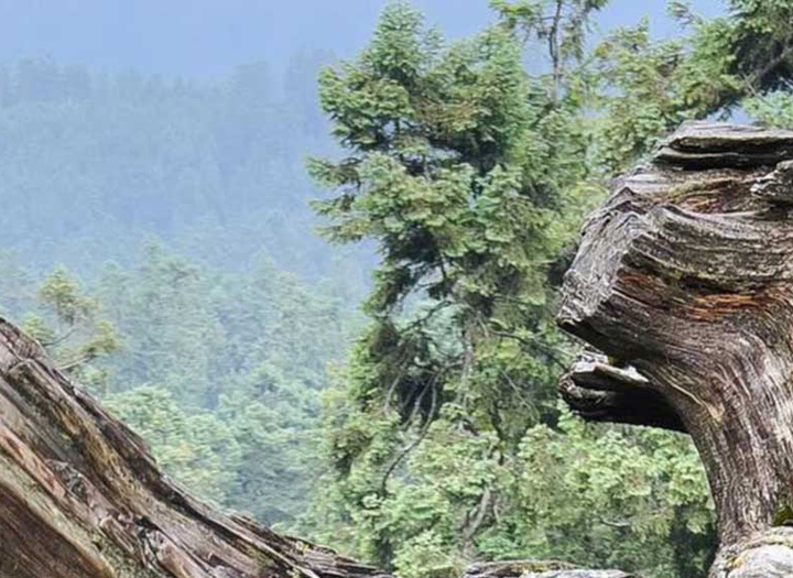 گالری آثار عکاسی اروین آندرس فریر اوکانا از مکزیک