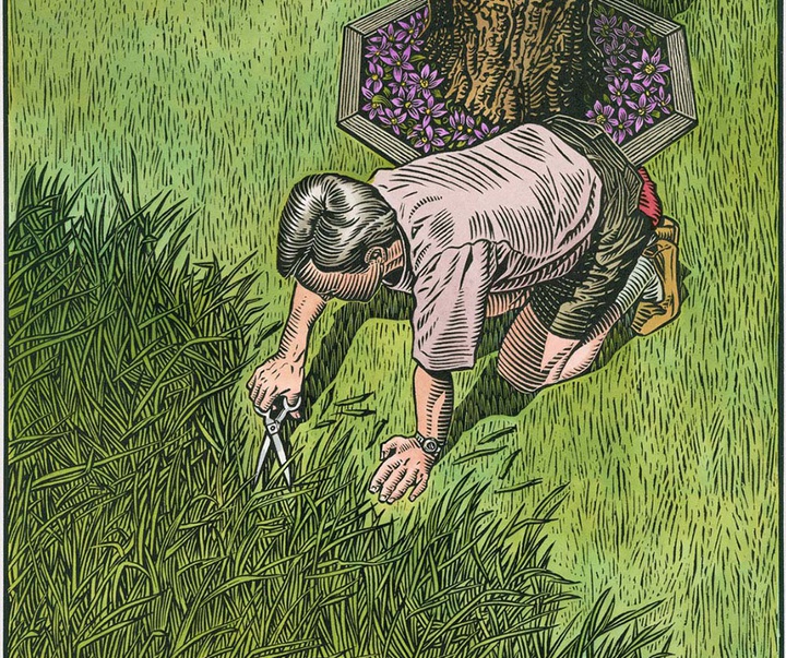 گالری آثار تصویرسازی راجر خاویر از آمریکا