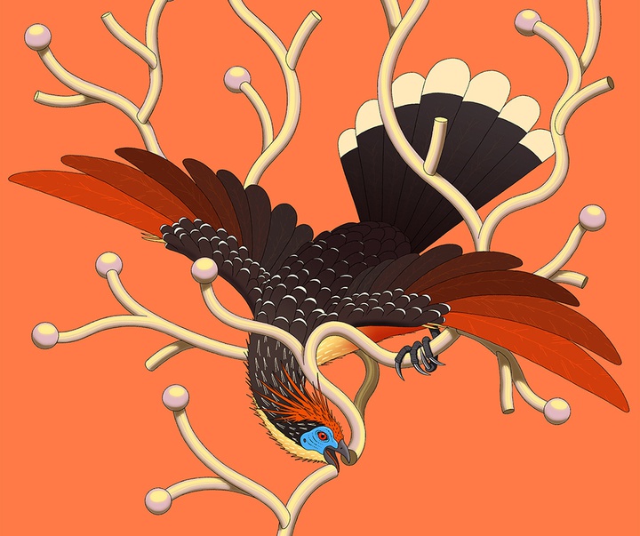 گالری تصویرسازی‌های جیدو لی از کره جنوبی