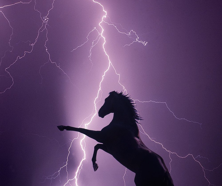 گالری آثار عکاسی جیم زاکرمن از برزیل - قسمت دوم