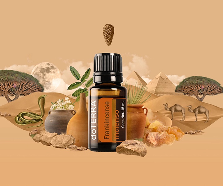 گالری تصویرسازی‌های گیرمو فلورس پاچکو از مکزیک