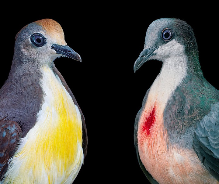 گالری عکس‌های خلاقانه تیم فلچ از بریتانیا