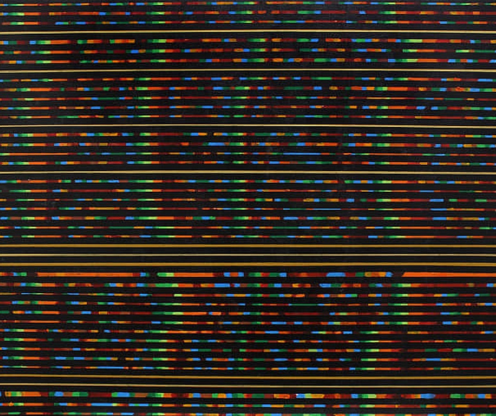 گالری آثار نقاشی و چیدمان چاندراگوپتا تنووارا از سری‌لانکا