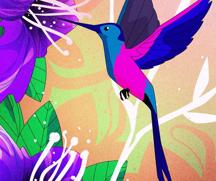 گالری تصویرسازی‌های دنیس فریتاس از برزیل