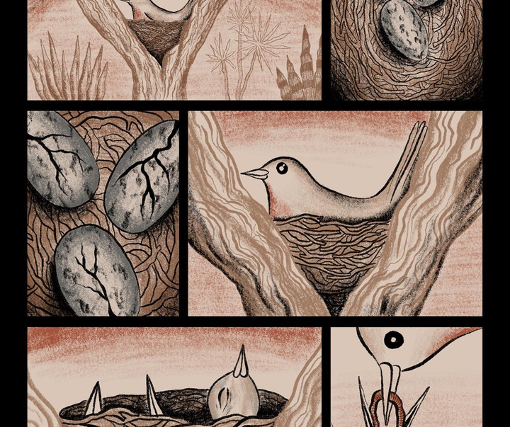 گالری تصویرسازی‌های کاتریل مارتینز از آرژانتین