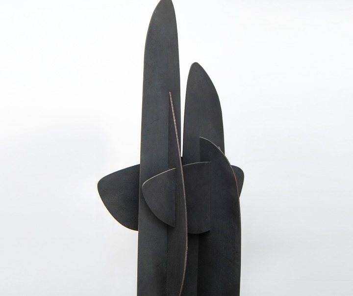 گالری آثار حجم آندرس آگیره از اکوادور