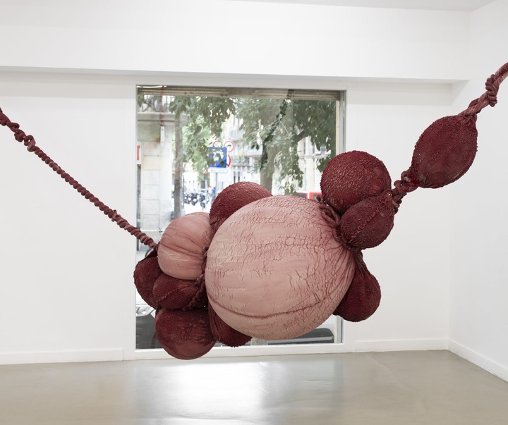 گالری آثر چیدمان و حجم اوا فابرگاس از اسپانیا