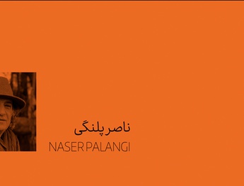 ناصر پلنگی